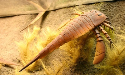 Гигантский ракоскорпион