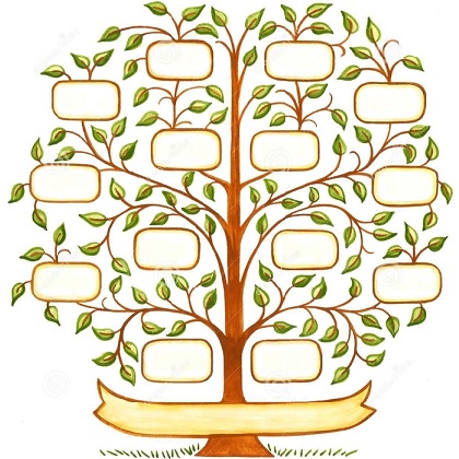 Родословное древо для вписывания членов семьи