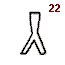 знак Фестского диска 22 (рогатина или подпорка)