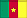 Камерунский флаг на веб-сайте о Камеруне