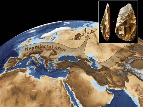 Область расселения европейских и азиатских неандертальцев