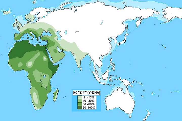 Карта распространения популяции DE (Y-ДНК человека)