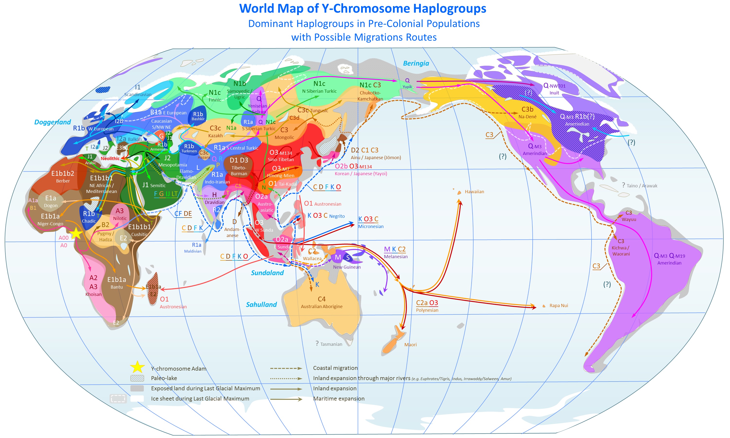 Распределение Y-хромосомных популяций в мире