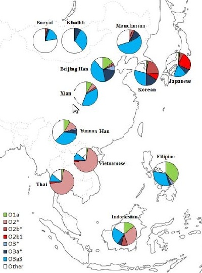Состав субкладов гаплогрупп O1 - O3 в Восточной Азии