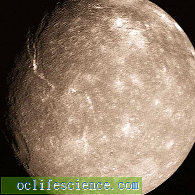 Титания (луна Урана) - в коричневом спектре