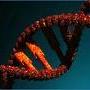 Спиральная химия ДНК