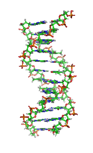 Вращающаяся спираль ДНК