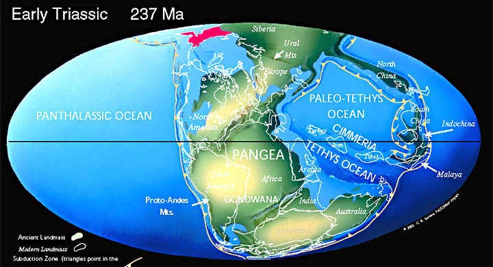 Континенты в раннем триасе (237 млн. лет назад)