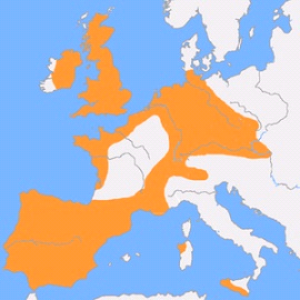 Распространение культуры колоколовидных кубков в Европе