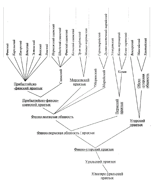 Ветви уральской языковой семьи